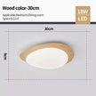 Remigen Ceiling Light