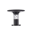 Acacia Solar Pillar Light