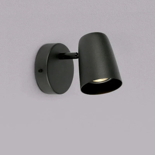 Calla Spotlight