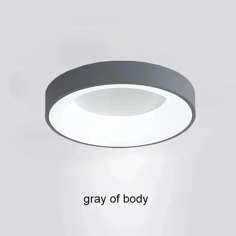 Tallulah LED Ceiling Light