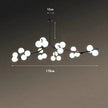 Knox Globe Chandelier