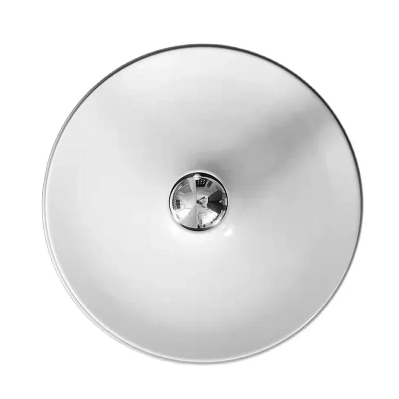 Della Wall and Ceiling Light